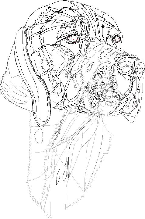 Digitizing map of a dog portrait showing direction of hair and the muscle structure. Digitizing map of a dog portrait showing direction of hair and the muscle structure.