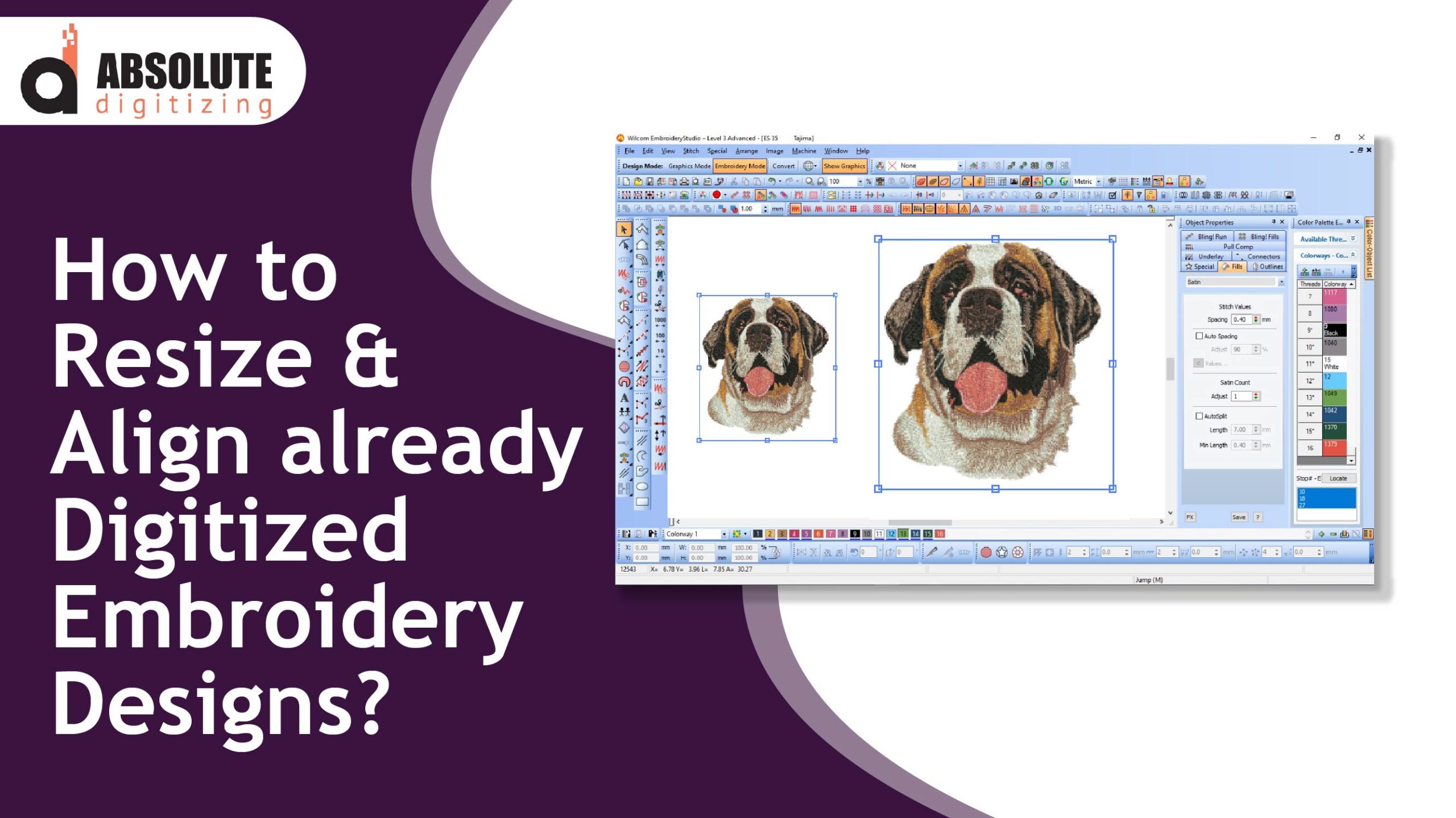 How to Resize and Align already Digitized Embroidery Designs-