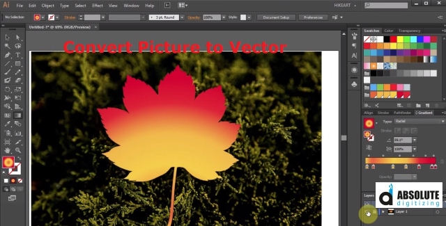 Convert Picture to Vector