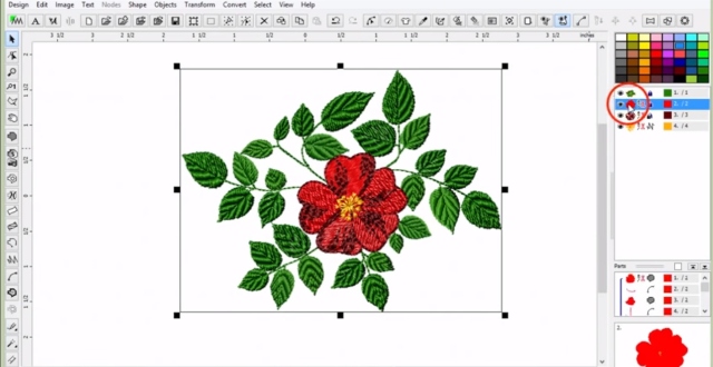 Embroidery Digitizing Classes