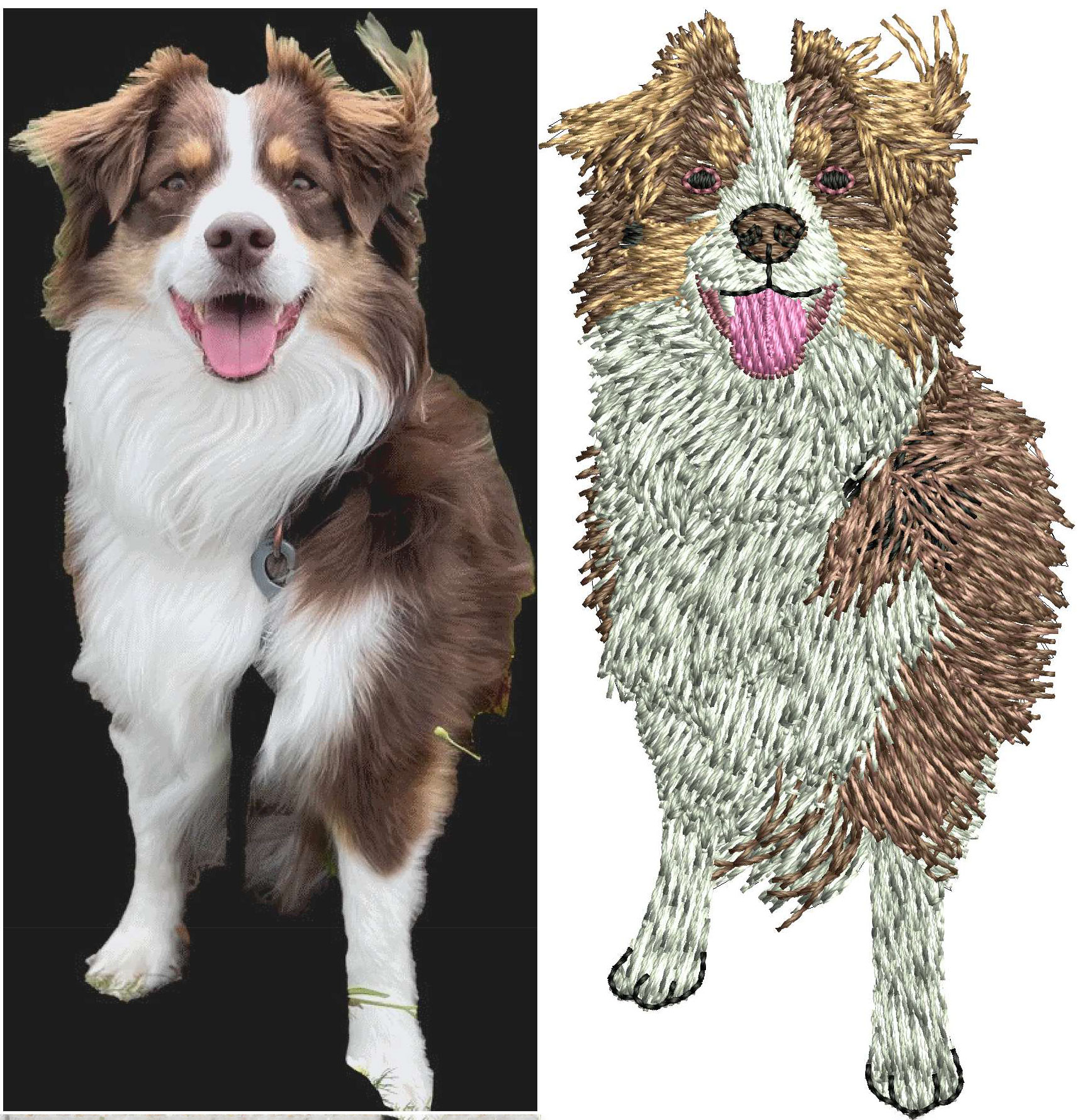 Professional Embroidery Digitizing by Absolute Digitizing