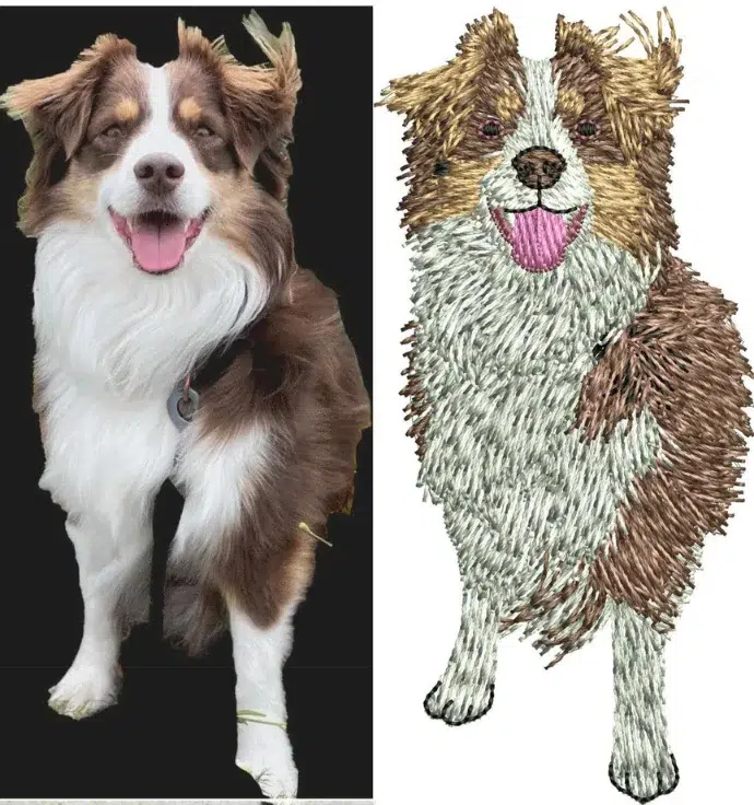 Professional embroidery digitizing services in USA