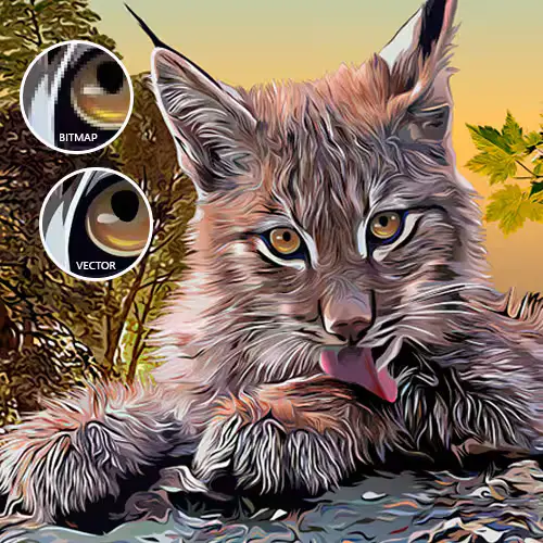 Vector Artwork for Embroidery Digitizing