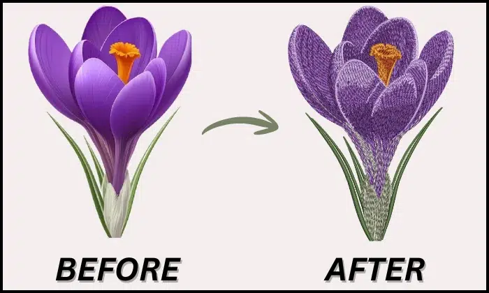 best embroidery digitizing service in USA