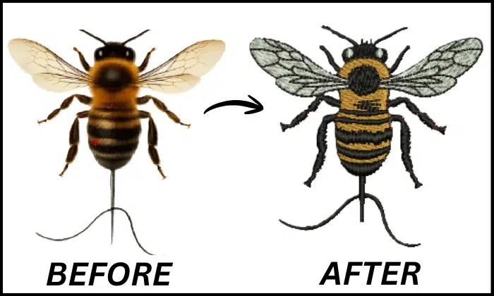 Best embroidery digitizing services in USA