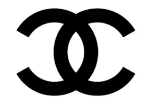 Professional Digitizer