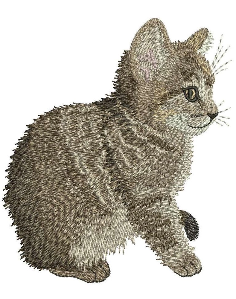 Custom Pet Embroidery Digitizing by Absolute digitizing