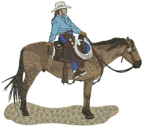 Embroidery Digitizing by Absolute Digitizing 