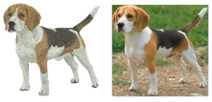 Image and Embroidery digitizing done by Absolute digitizing 