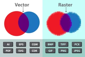 Vector Vs Raster image
