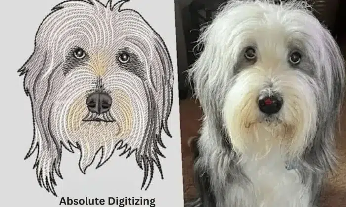 Pet Photo Embroidery Digitizing Before and After, by Absolute Digitizing