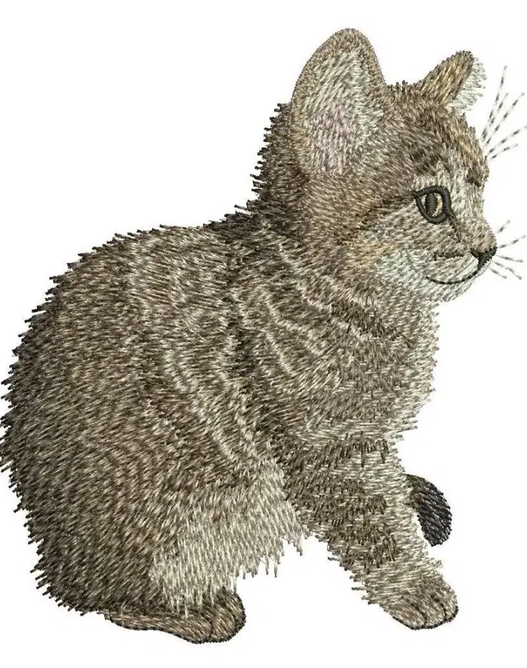 Custom Pet Embroidery Digitizing by Absolute Digitizing Custom Pet Embroidery Digitizing by Absolute Digitizing